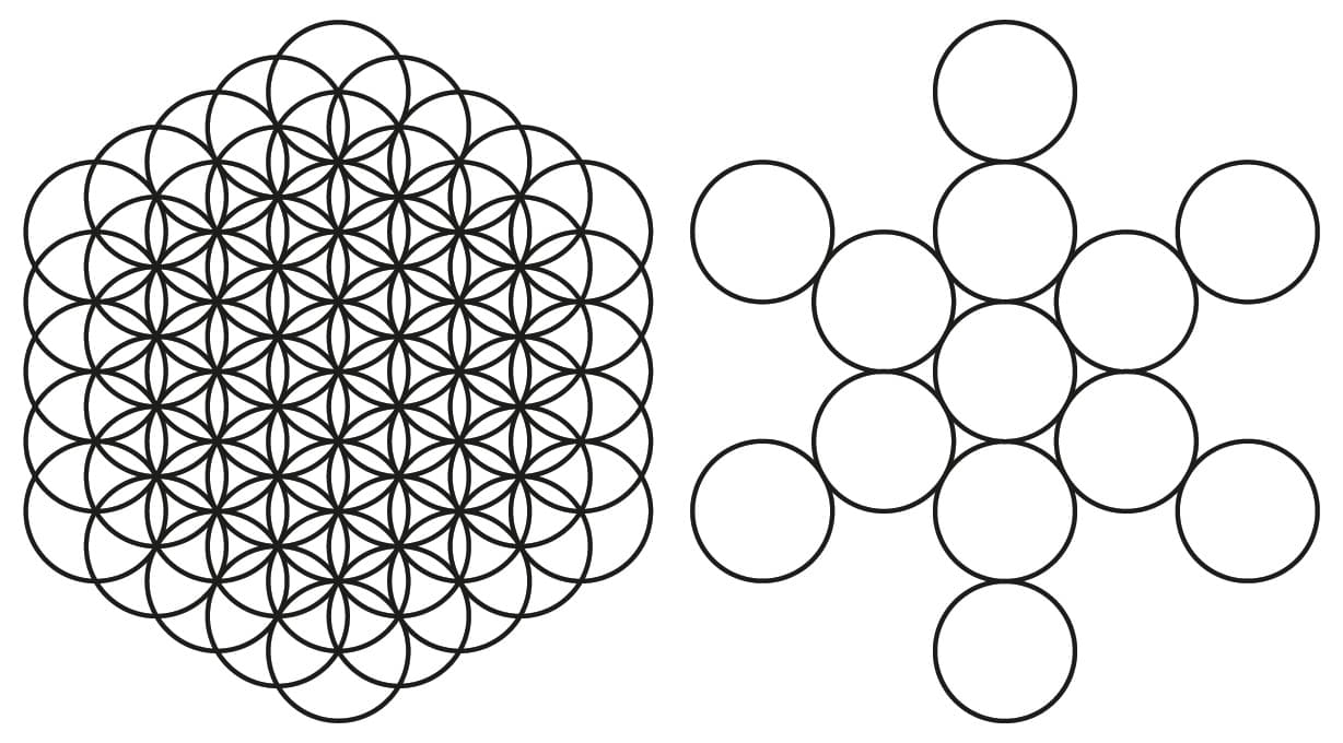 The Flower and Fruit of Life