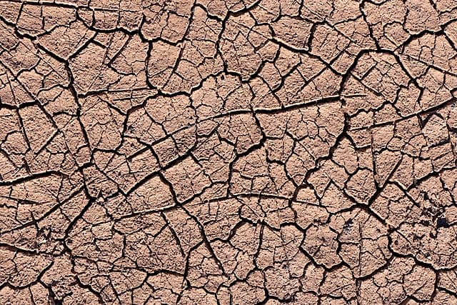Cracked dry earth forming self-similar fractal patterns across its surface
