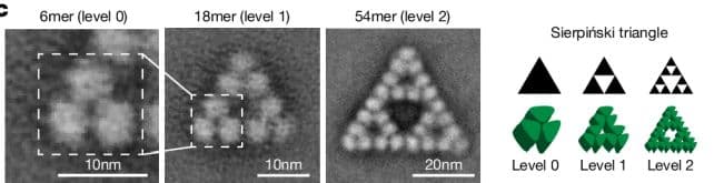 DNA nanotechnology: self-assembled molecules forming a Sierpiński triangle across three levels of scale
