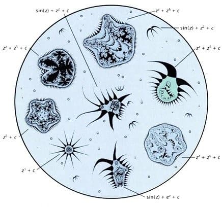 A family of Julia set biomorphs: organic forms generated by different complex number formulas