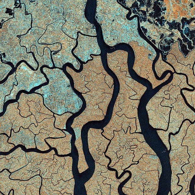 A river delta viewed from above, showing fractal branching patterns identical to those in the lungs