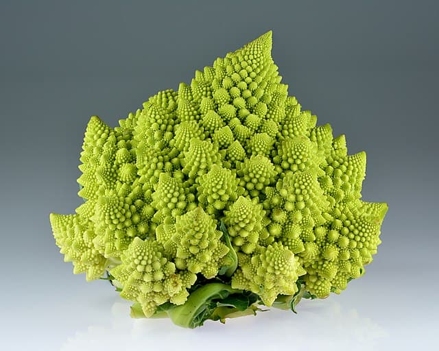 Romanesco broccoli: a naturally occurring fractal whose spiralling cones repeat the same form at every scale