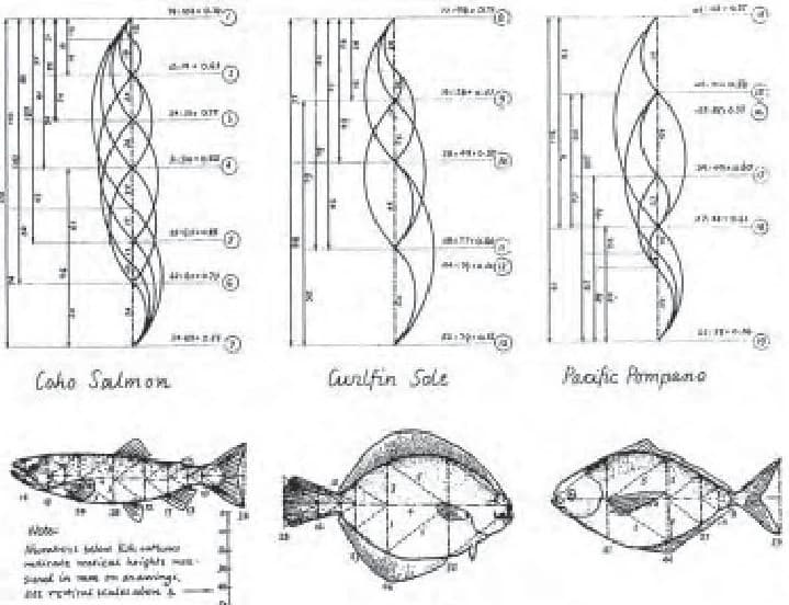 Golden ratio proportions mapped onto three fish species: Coho Salmon, Curlfin Sole and Pacific Pompano