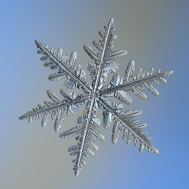 A snowflake crystal displaying perfect sixfold symmetry — the same geometry as the flower of life
