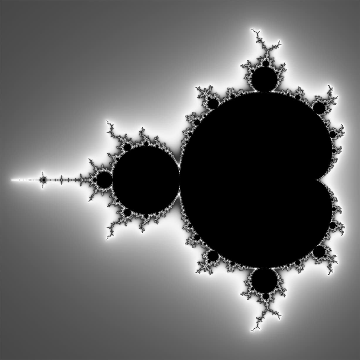 The Mandelbrot Set