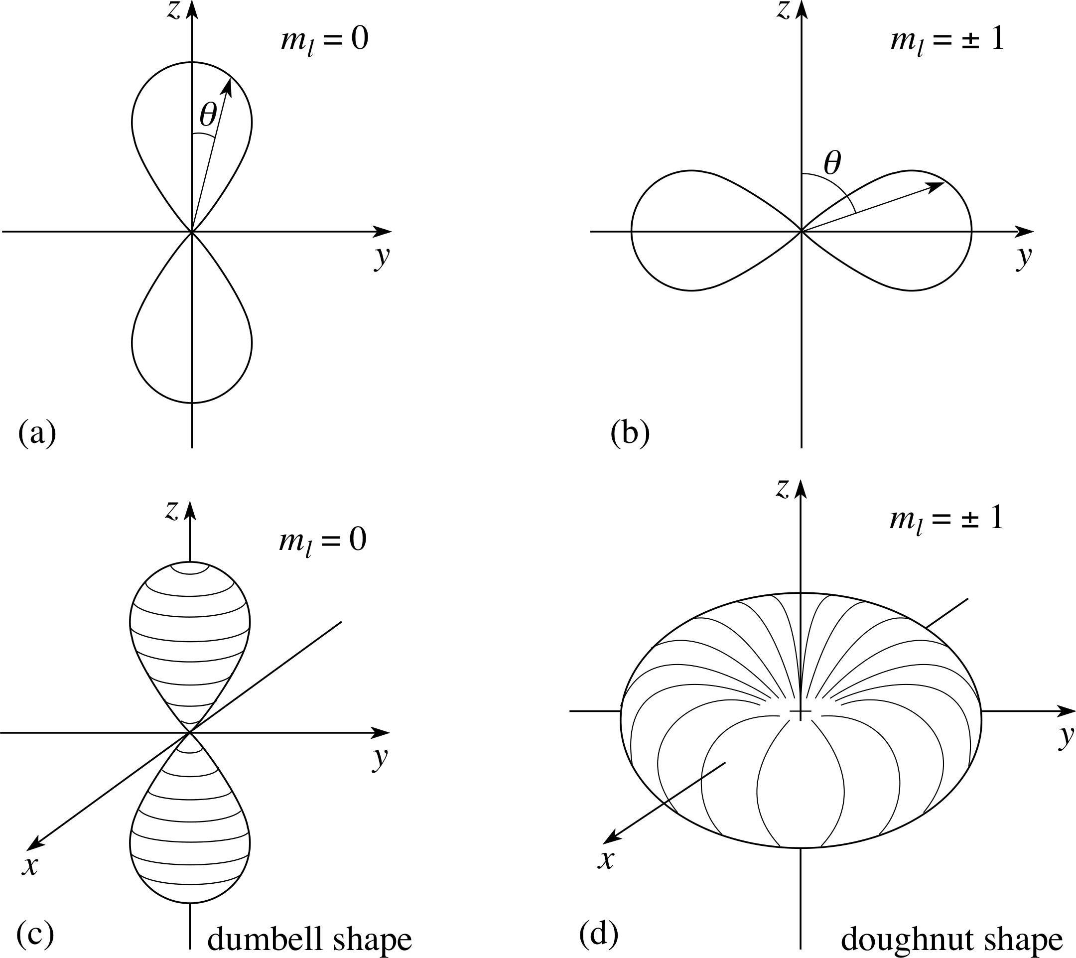 Atomic orbital geometries: the dumbbell (p-orbital) and doughnut (toroidal) shapes of electron probability distributions