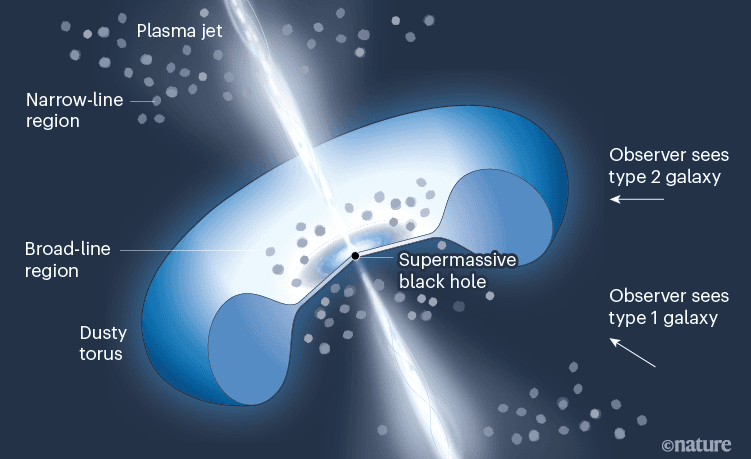 A supermassive black hole surrounded by a dusty torus, ejecting plasma jets along its polar axis (©Nature)