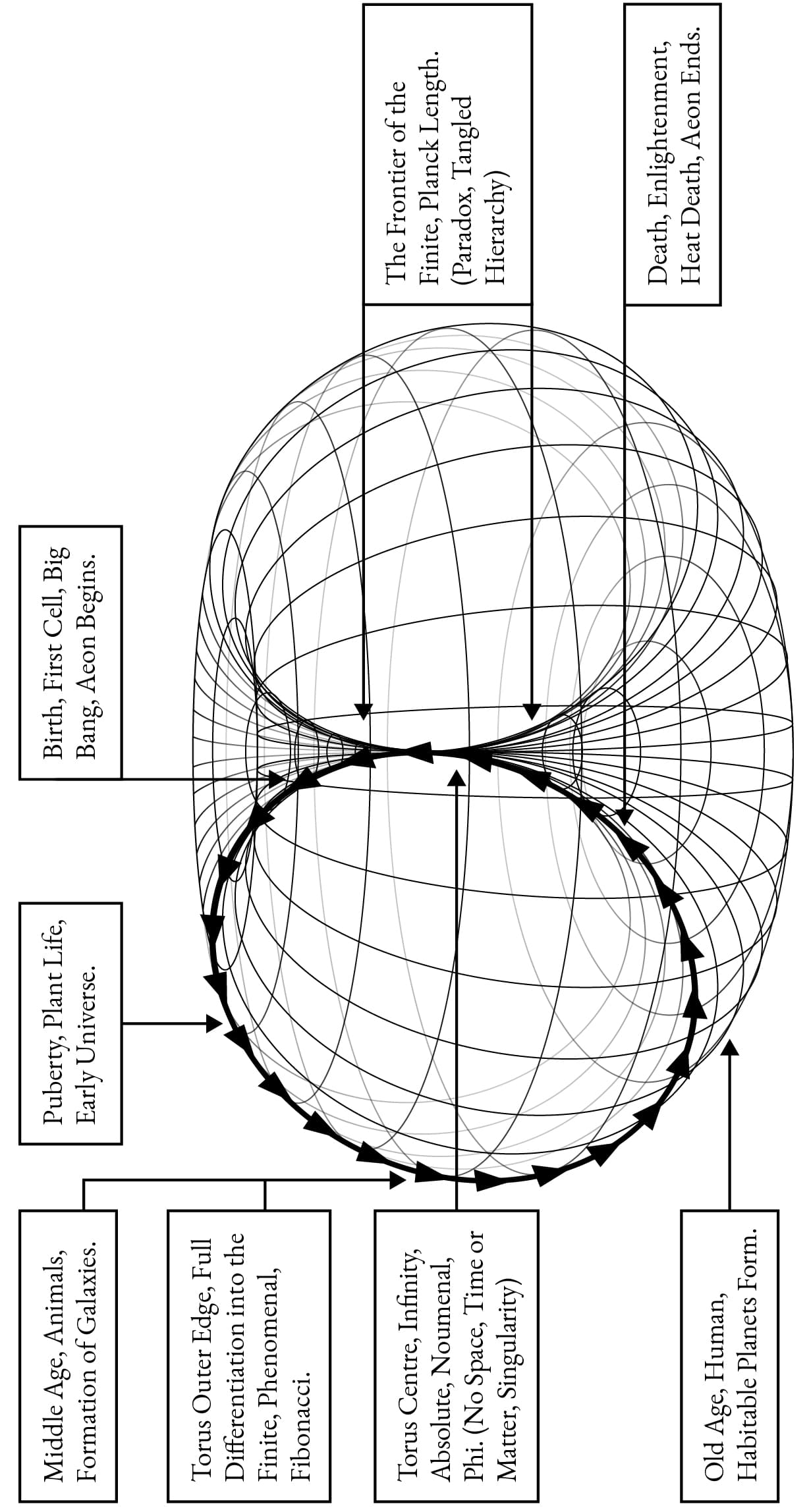 Torus Diagram