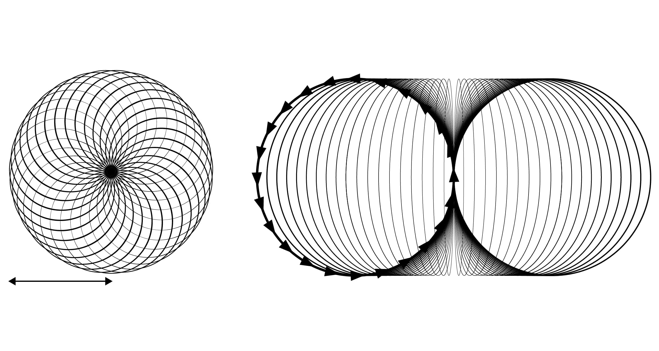 Torus Direction