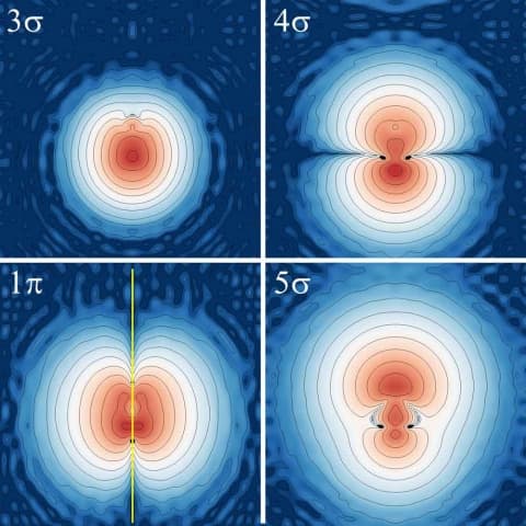 Electron density maps of molecular orbitals, revealing toroidal and dumbbell-shaped probability fields